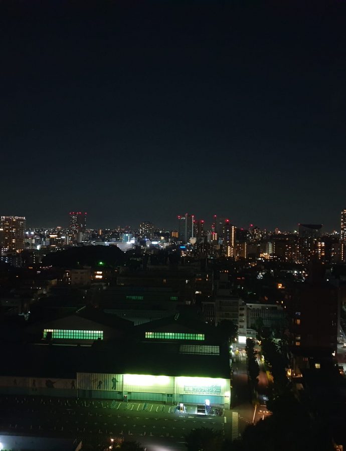 Day 0 – L’arrivo a Tokyo, l’inizio dell’avventura